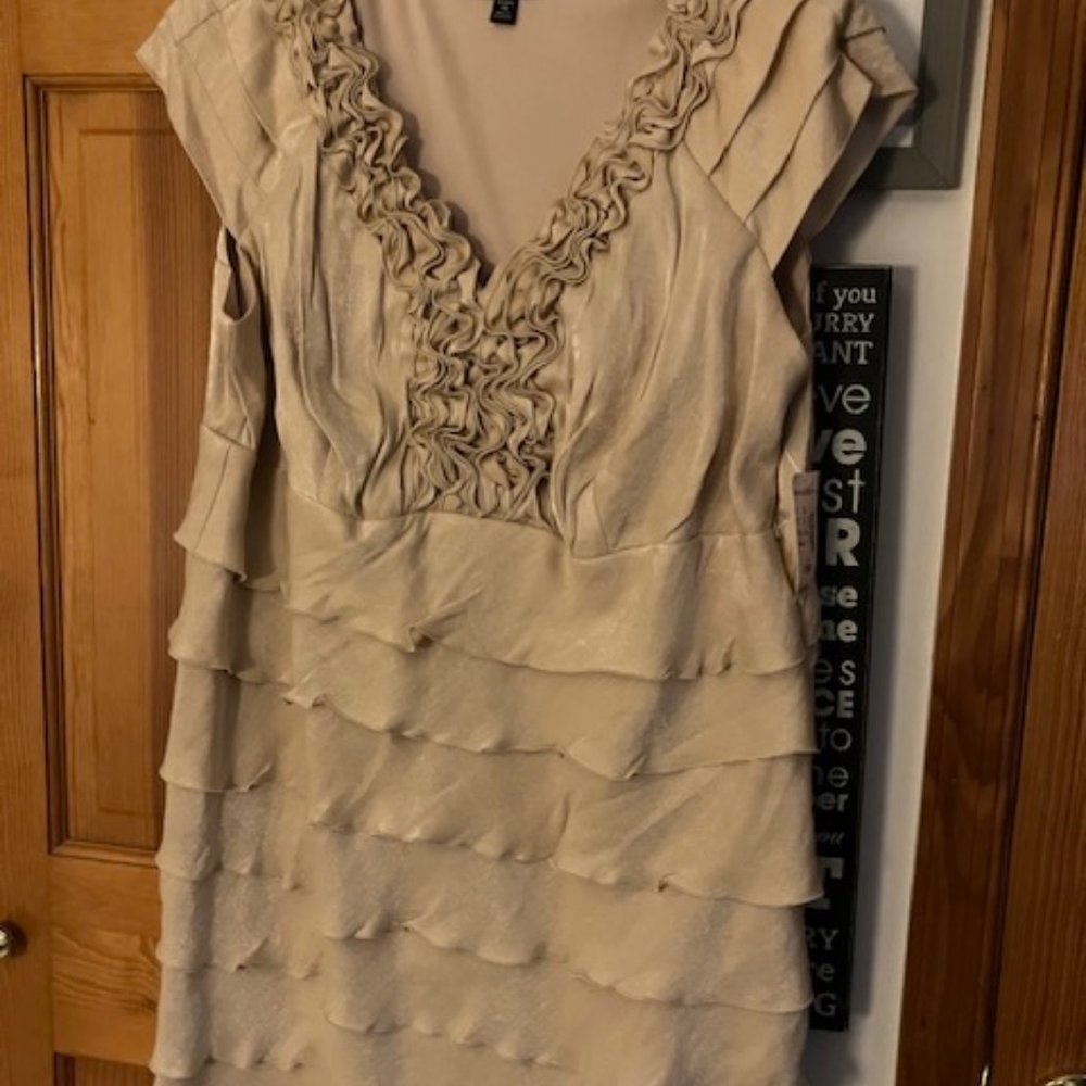 Dress Barn Evening Dress